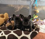 616078384_33439802865666022_2575735601381778073_n