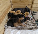 617746786_33451049827874659_3683084332318049376_n