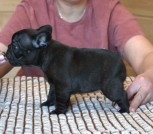 618231055_33454681260844849_5064969920381773662_n