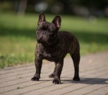 618490315_33534052412907733_8158917175293672030_n