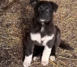 Kh_A5cj28G-gT_2XjBlaJmU6En73z_4obqNb0Sit_HkQcFzttjzzFCqzN4sLexjbCreFfK8U3FJGTJ3vaDzuLvk7