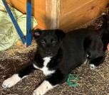 NnsR8pwfaDbaIPzh4tTxz7XsHEqIHg56BoEQr_3CVrFiK3pMLTy21R61Q_MIKq1Lwkn2ahNYxA7C4VSNTY6b6iM5