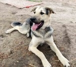 изображение_viber_2025-12-10_23-42-17-025