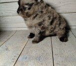 photo_10_2026-02-27_17-33-46