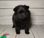 photo_13_2026-02-27_17-32-41