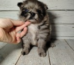 photo_13_2026-02-27_17-33-05