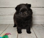 photo_7_2026-02-27_17-32-41