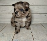 photo_7_2026-02-27_17-33-05