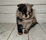 photo_7_2026-02-27_17-33-46