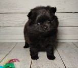 photo_8_2026-02-27_17-32-41