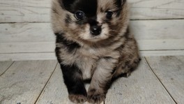 photo_8_2026-02-27_17-33-46